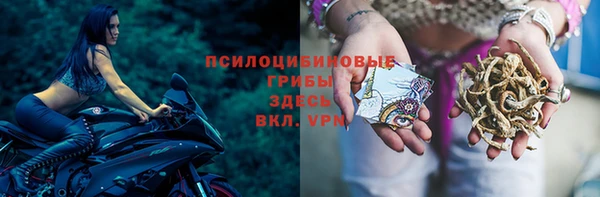 Альфа ПВП Арсеньев