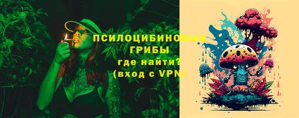 Альфа ПВП Арсеньев